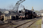 31. Oktober 1987. 50 3145. Aue. . Sachsen / Bis in das Bahnbetriebswerk Aue zu gelangen, war normalerweise nicht so einfach möglich. Aber an diesem Tag hatte die Transportpolizei nicht so genau hingesehen.