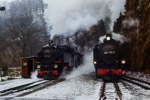 Bild des Monats Januar 2003. Rabenau. . Sachsen / Anlässlich einer Sonderfahrt auf der Weißeritztalbahn am 13. Februar 1988 waren die beiden Lokomotiven 991747 und 99 1771 gemeinsam im Bahnhof Rabenau anzutreffen.