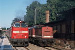 26. Juni 2002. 219 029, 202 294. Hermsdorf / Am Morgen des 26. Juni begegneten sich 219 029 und die geschleppte 202 294 im Bahnhof Hermsdorf-Klosterlausnitz.