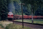 24. Juni 2005. MEG 202. Leutenberg. . Thüringen / MEG 202 ist in der Nähe von Leutenberg mit einem schweren Holzzug in Richtung Lobenstein unterwegs.