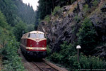 Bild des Monats August 2005. Leutenberg. Grünau. Thüringen / Die ursprünglich zwischen Saalfeld und dem Thüringer Oberland eingesetzten Lokomotiven der Baureihe 290 waren den Anforderungen in diesen Diensten auf Dauer allein nicht gewachsen, daher werden sie seit Dezember 2004 von zwei V180 der MEG unterstützt. Lichtentanne, 20. Juli 2005.