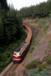 Eisenbahngüterverkehr im Thüringer Oberland