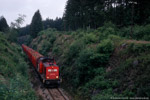 Eisenbahngüterverkehr im Thüringer Oberland