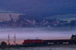 Eisenbahn im Saaletal