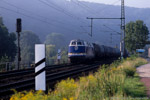 Eisenbahn im Saaletal